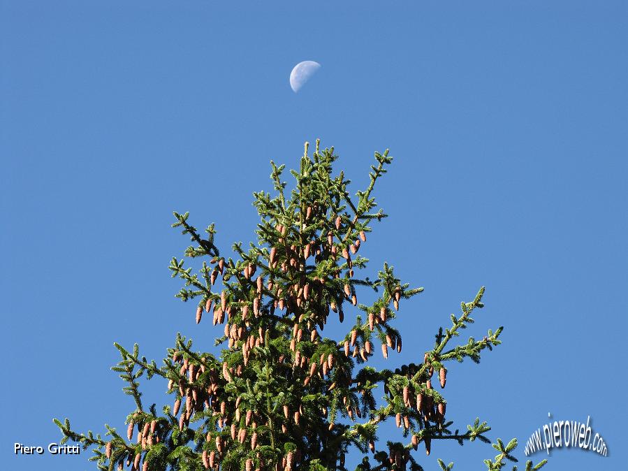 06 ...la luna si attarda nel cielo terso!.jpg